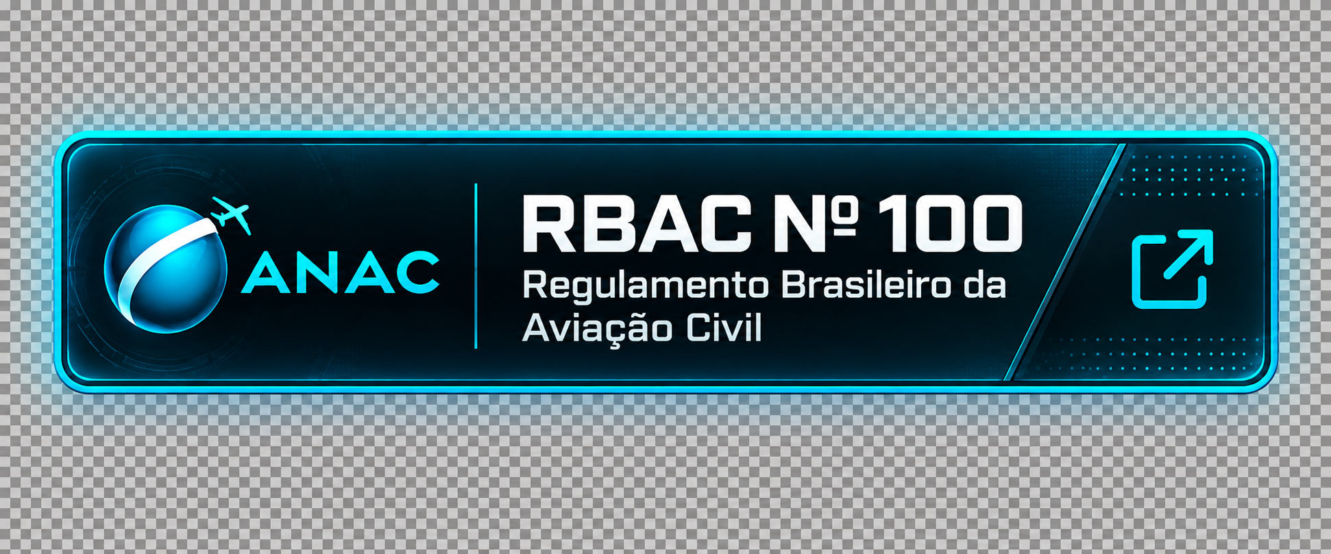 RBAC número 100 — Regulamento Brasileiro da Aviação Civil